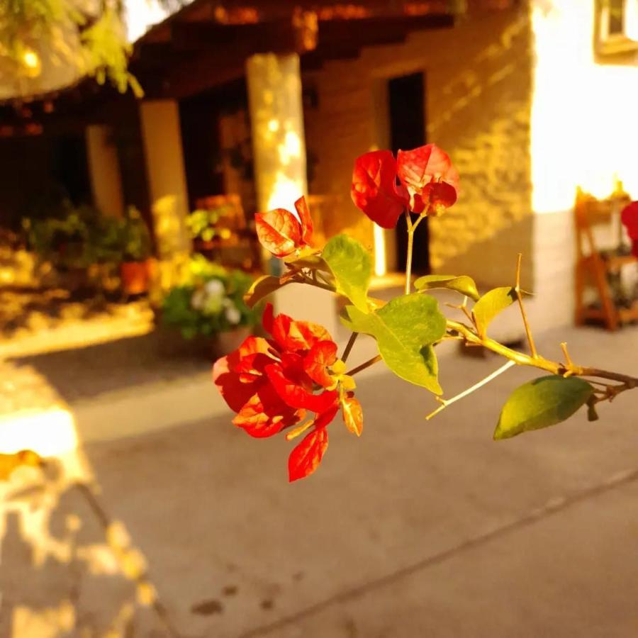 La Montana Bed and Breakfast Cafayate Exteriör bild